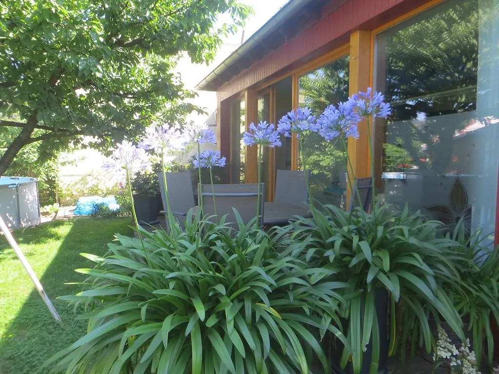 Apartment Gartenhaus Klotzsche Dresden